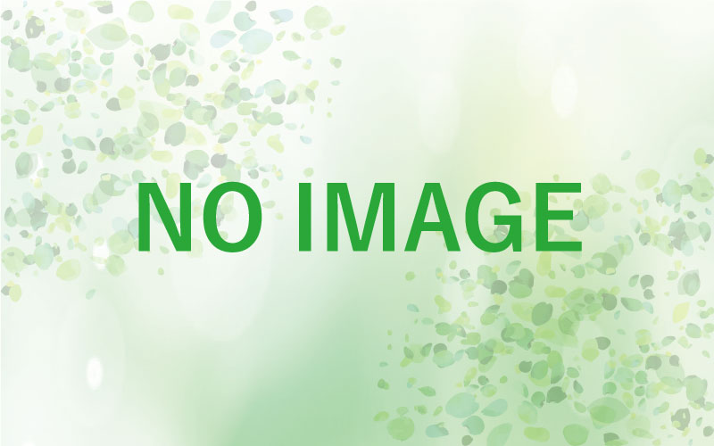 NEWS LETTERを発行しました